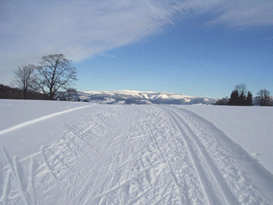 Trat� na Str�n�ku
